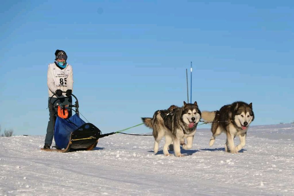 Pamiiyok De Prana Des Loups