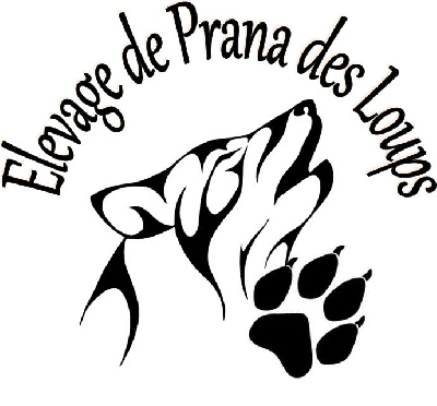 De Prana Des Loups